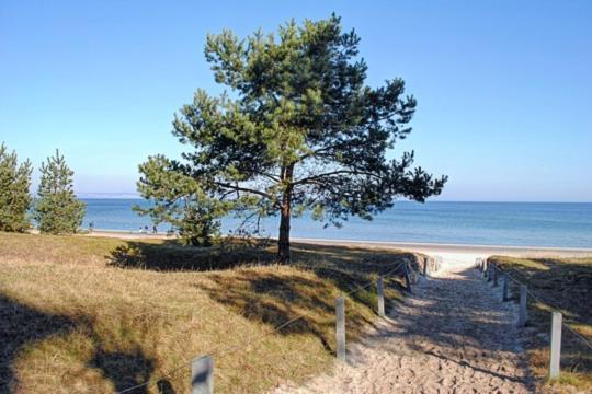Strandvilla Aegir Mit Ostseeblick Binz Ngoại thất bức ảnh